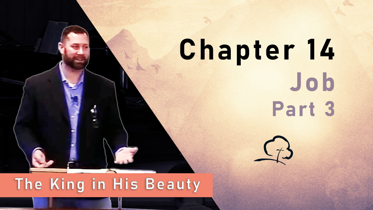 Chapter 14 - Job, Part 3