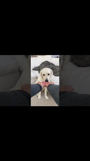 She Said Thanks for the Chin Holder