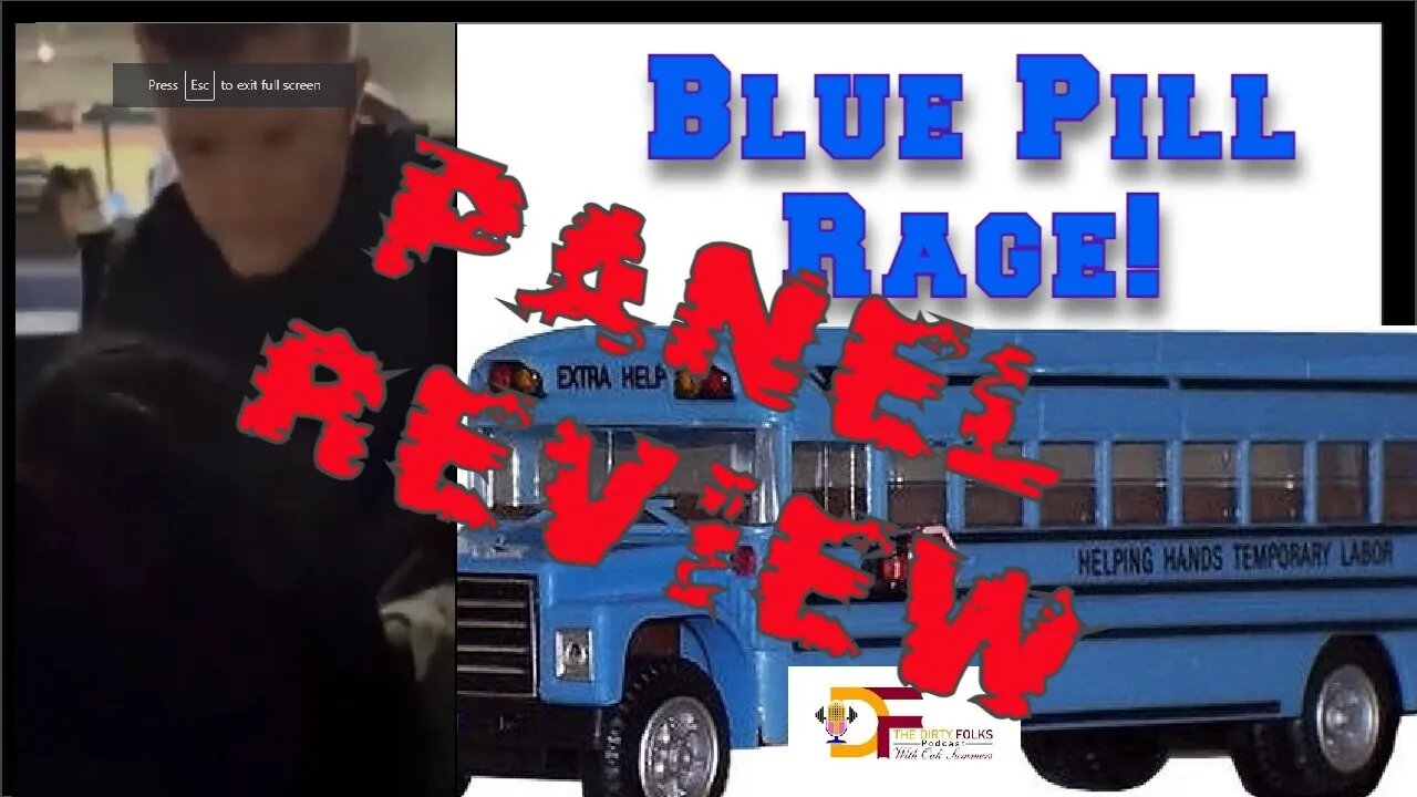 Bus Fight Panel Review