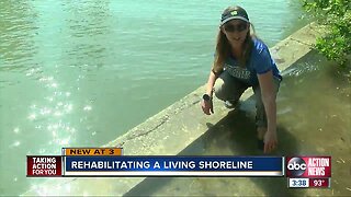 Biology students at St. Petersburg College restoring shoreline