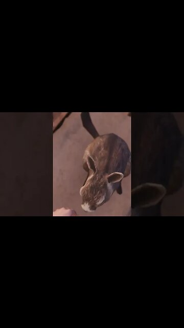 Arid - A cute moment