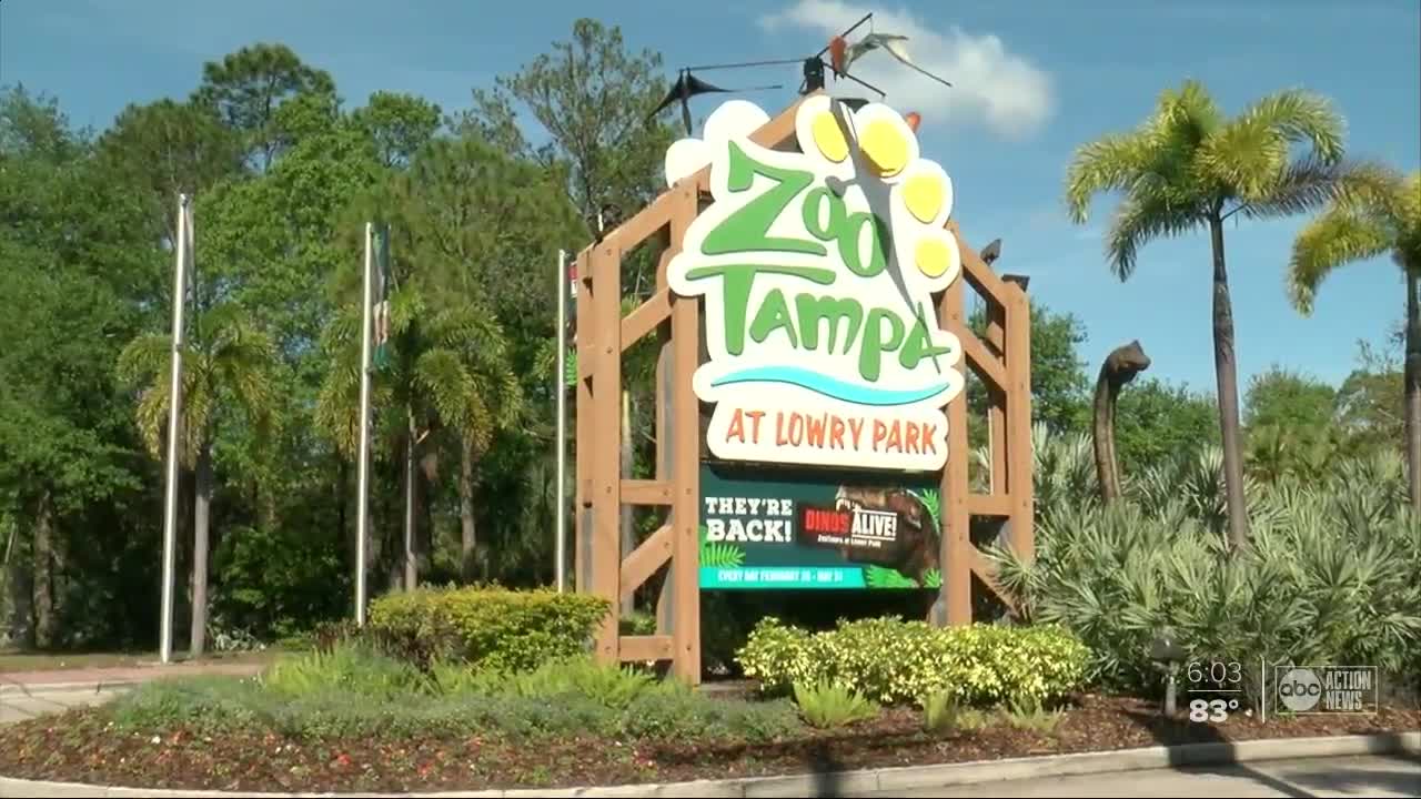 ZooTampa at Lowry Park temporarily closes due to coronavirus concerns