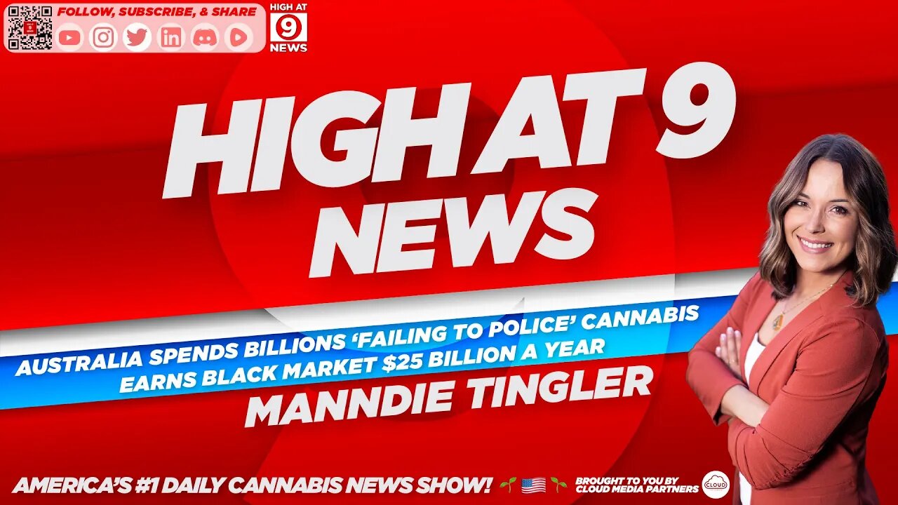 High At 9 News : Manndie Tingler - Australia spends billions ‘failing to police’ cannabis