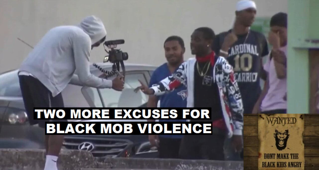 Colin Flaherty: Two New Excuses For Black Mob Violence 2018