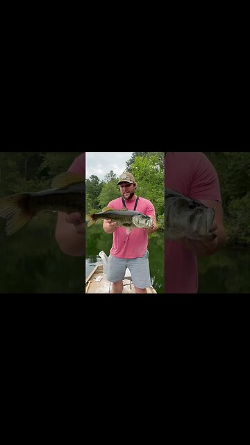 What did this to my Hand?