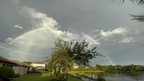 0.5 Camera Rainbow (Widescreen) #4K￼