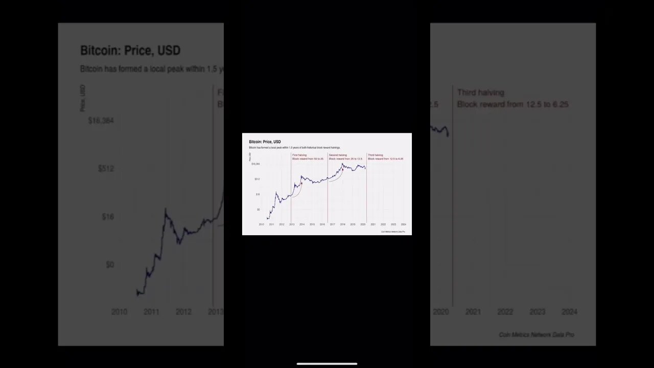 THE NEXT BITCOIN BULLRUN WILL BE THE MOST IMPORTANT!!!!