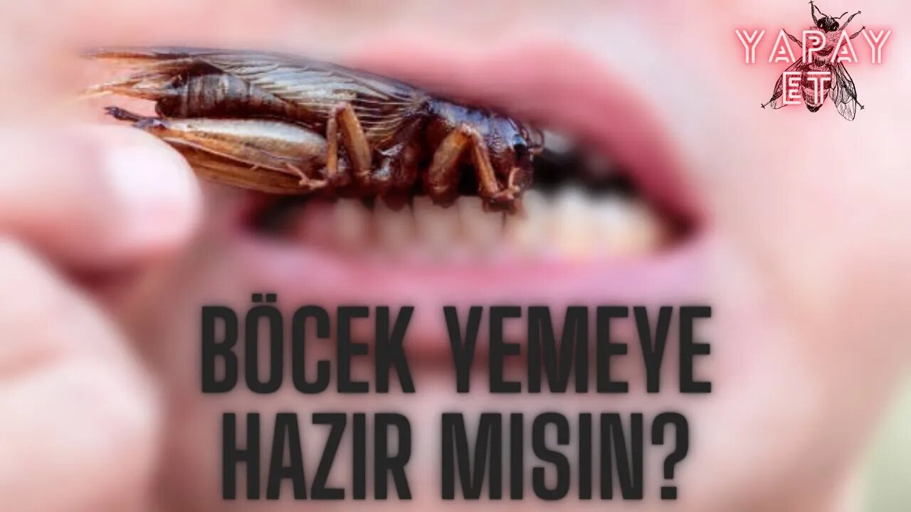 Yapay Et ve Hayatınızın Geri Kalanında Böcek Yemek!