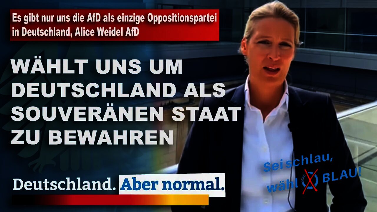 Es gibt nur uns die AfD als einzige Oppositionspartei in Deutschland, Alice Weidel AfD