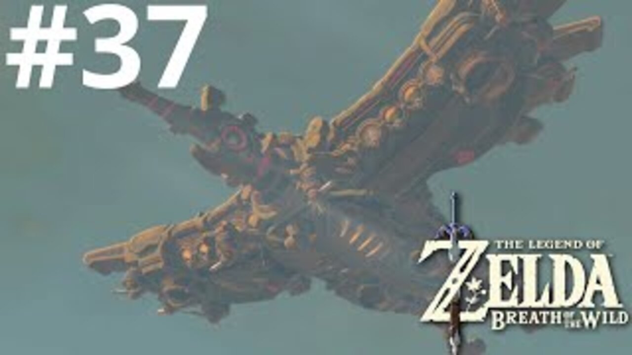 A Giant Floating Falcon| The Legend of Zelda: Breath of the Wild #37