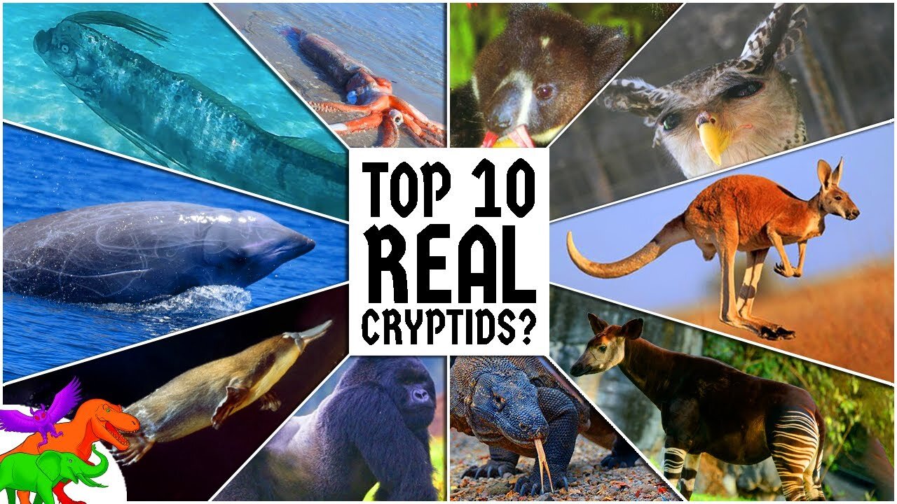 10 Cryptids that might just be out there!! #scary #creatures #mystery