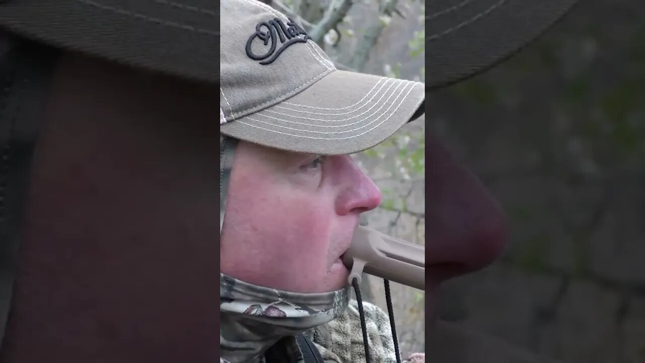 When to use the grunt call #shorts #deer #deerhunting