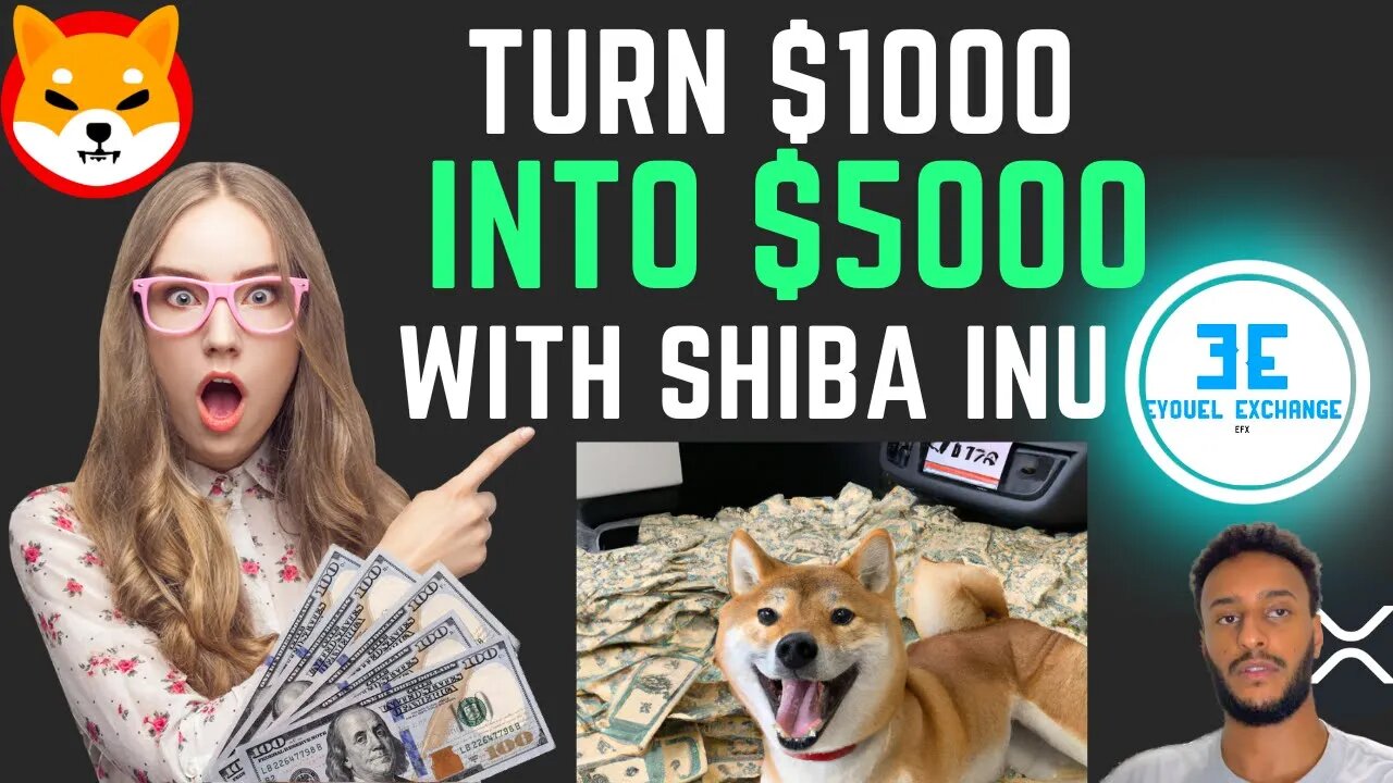 How to Turn $1000 into $5000+ with Shiba Inu, step by step, Shibarium be ready