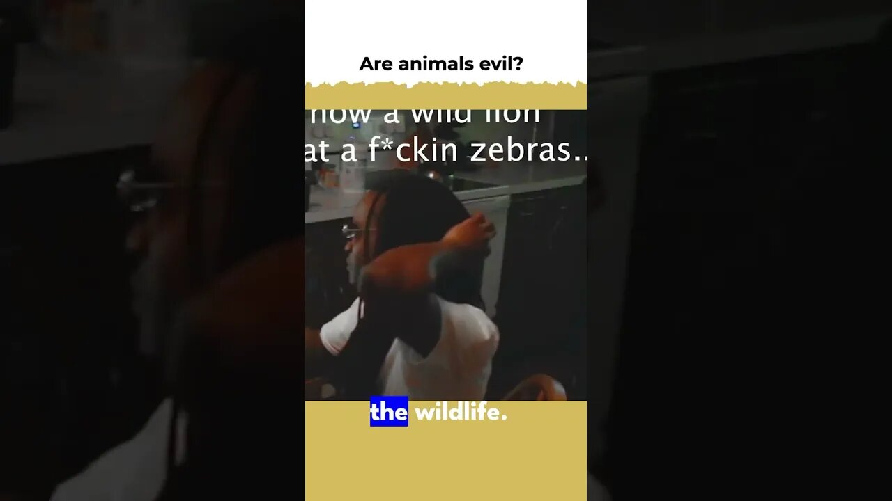Are animals evil?🦁(PROFOUND?!?) [full pod on channel] #boston #massachusetts #podcast #rap