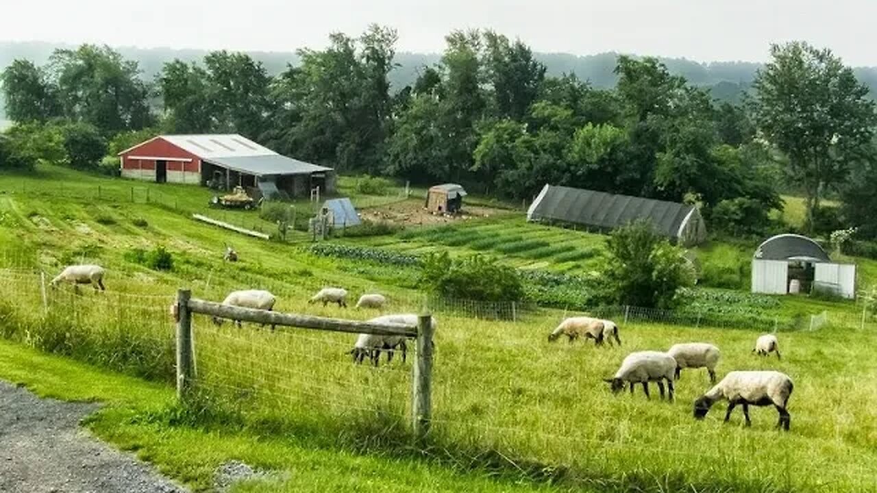 Food Security : Andrew Von Zuben. Homesteading. What Is It and How Do You Do It? Pt 4.