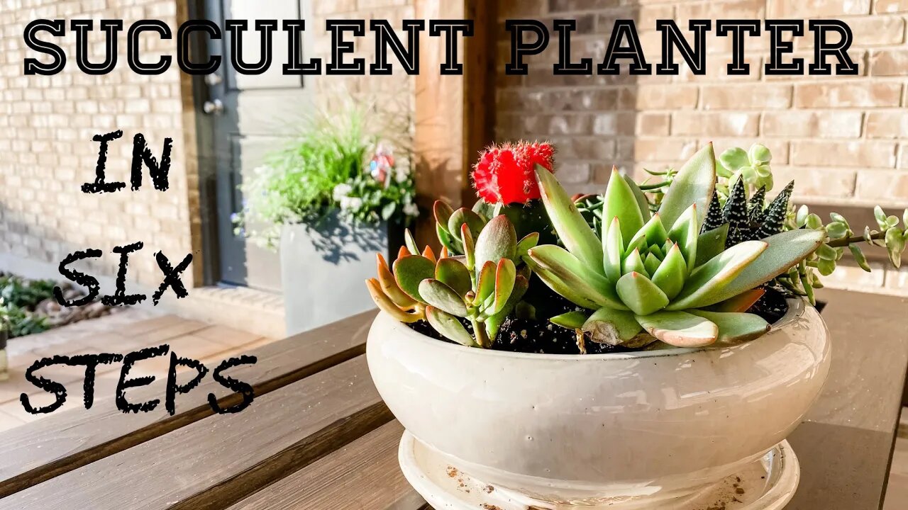 Six Step Succulent Planter 2021!