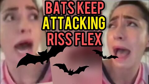 Bats Keep Attacking Riss Flex! Batman Arrives During Chrissie Mayr Rokfin LiveStream. Chaos Ensues!