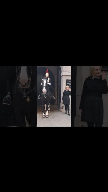 Silently waving at the horse. the horse is like WTF 😆 😆 🤣 😂 #horseguardsparade