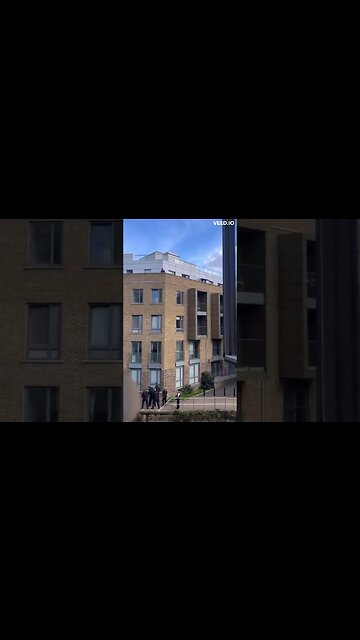 Met Police defends officers actions as suspect tasered and dogs shot in front of screaming witnesses