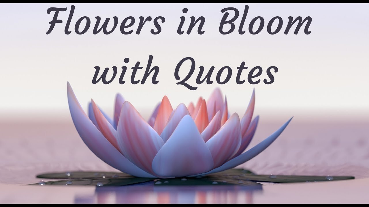 Quotes About Flowers | Happiness | Romance | Beauty | Love