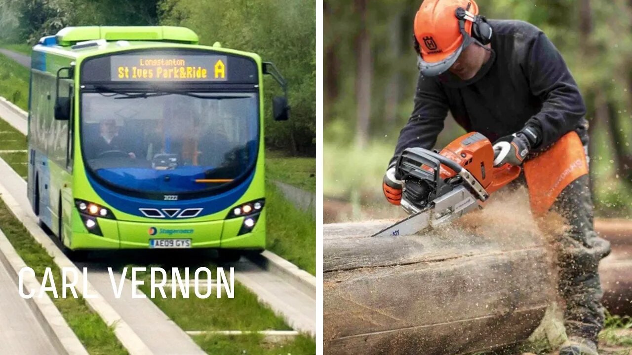 STUNNING LOGIC 🤦♂️ Trees chopped down for ‘Green Bus Lane’