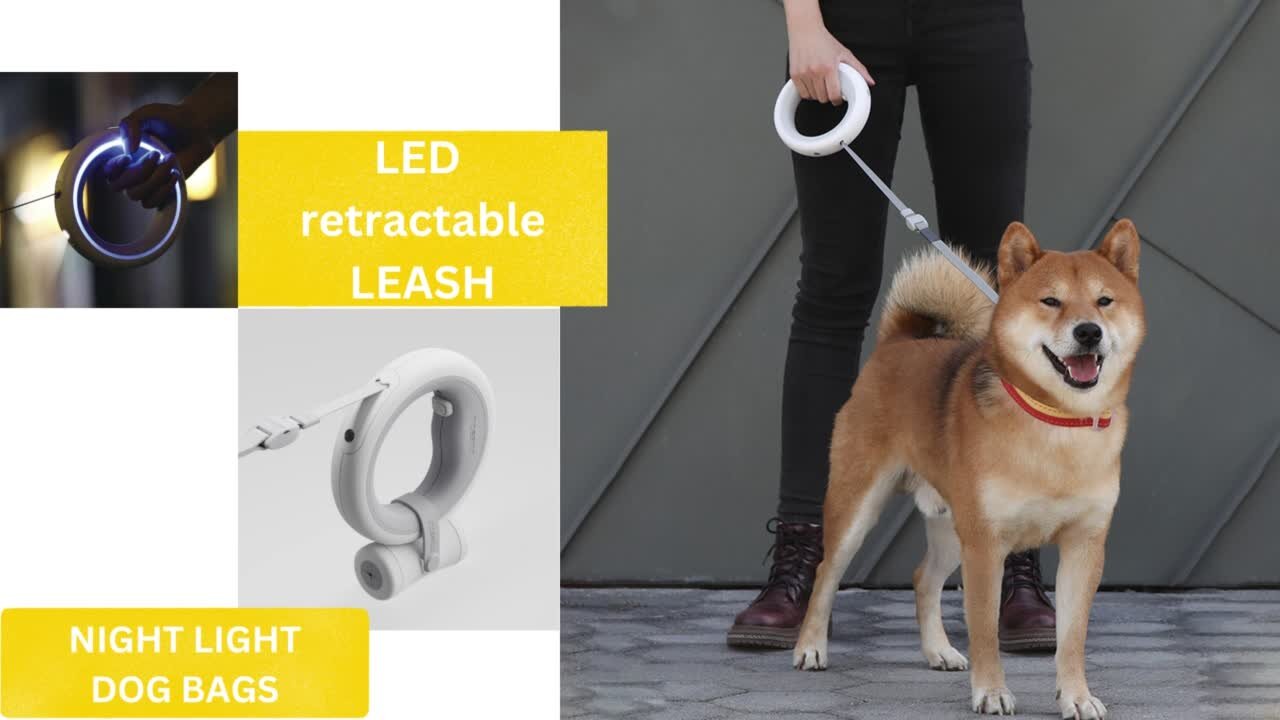 LED Retractable Dog Leash