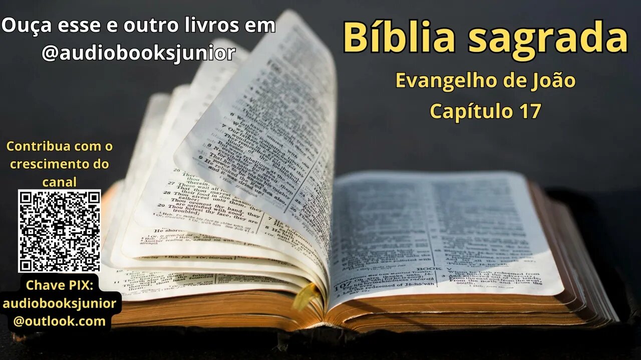 Bíblia Sagrada - Evangelho de João - Capítulo 17