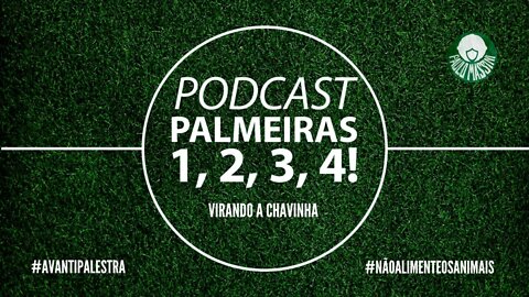 PALMEIRAS TEM JOGO PESADO EM CURITIBA. SEMI DA LIBERTADORES NA PAUTA!