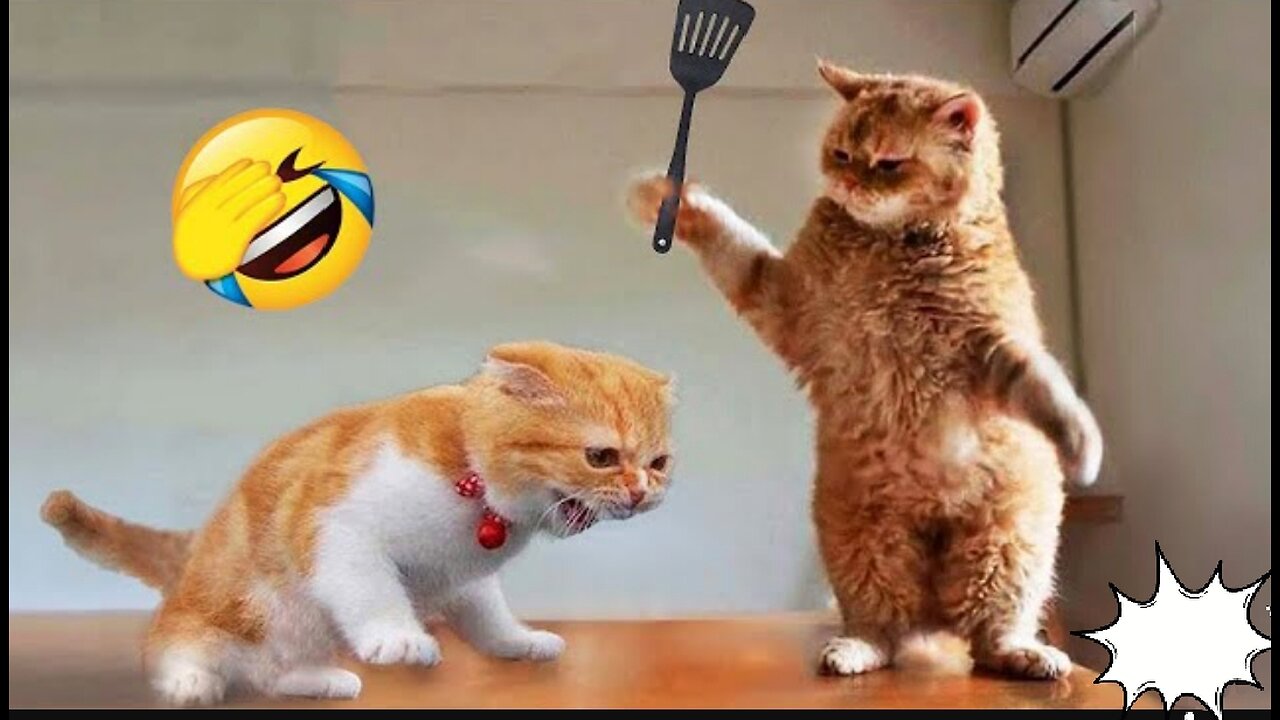 Funniest Animals 2023 😂 New Funny Cats and Dogs Video 🐱🐶