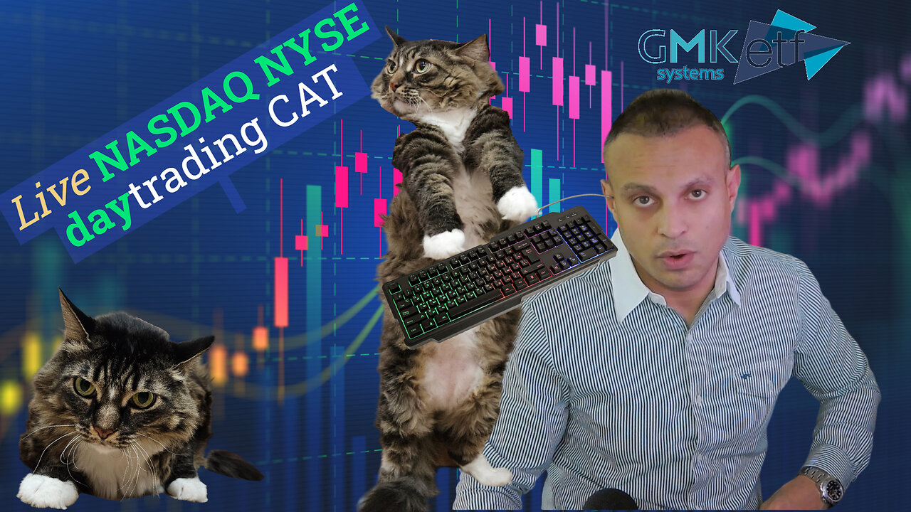 Cat Daytrading Algorithmically