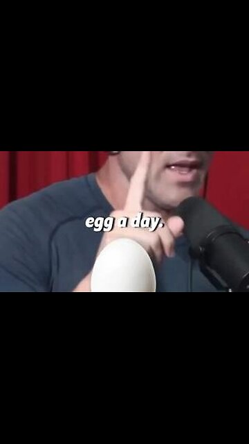 One Egg A Day - IQ