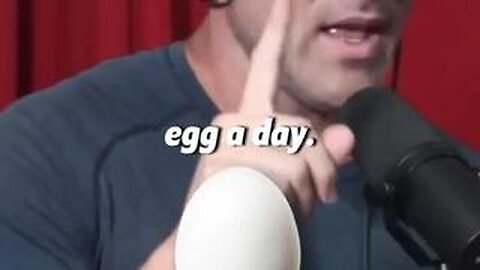 One Egg A Day - IQ