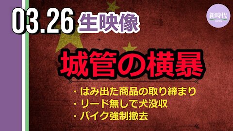 【生映像】中国 城菅の横暴
