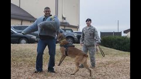 How to defend against a dog. Self defense against dog attack!!