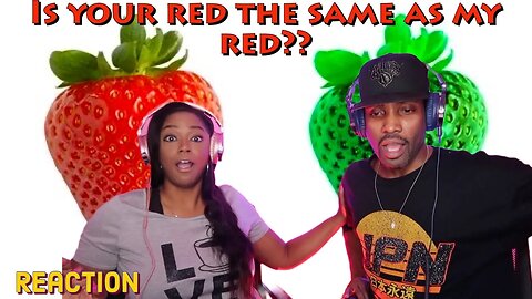First Time Watching “Is Your Red The Same as My Red?” Reaction | Asia and BJ React