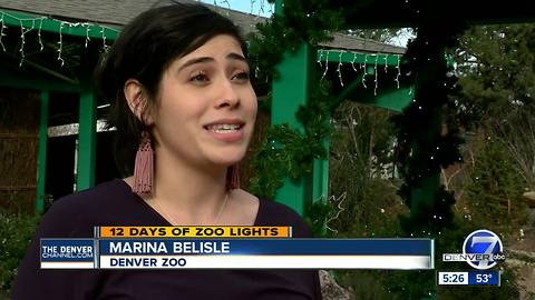 Thousands of pounds of ice used during Zoo Lights