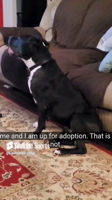 my mom told me I'm up for adoption 😁🤣