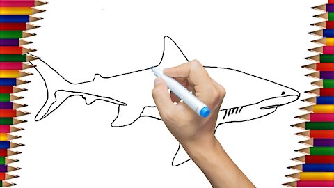 How To Draw a Shark| Angry Drawings Nº 23 | 2021