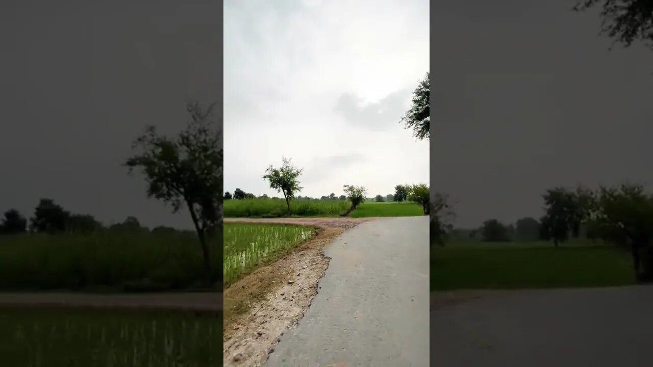 Beautiful weather #weather #mashallah #alone #village #youtubeshort #shorts