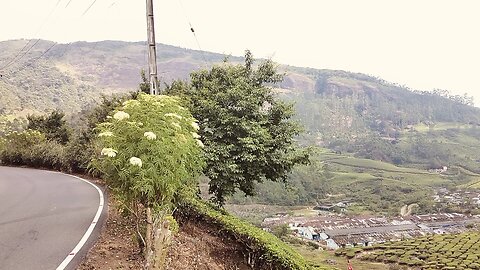 nature gift Hill's station