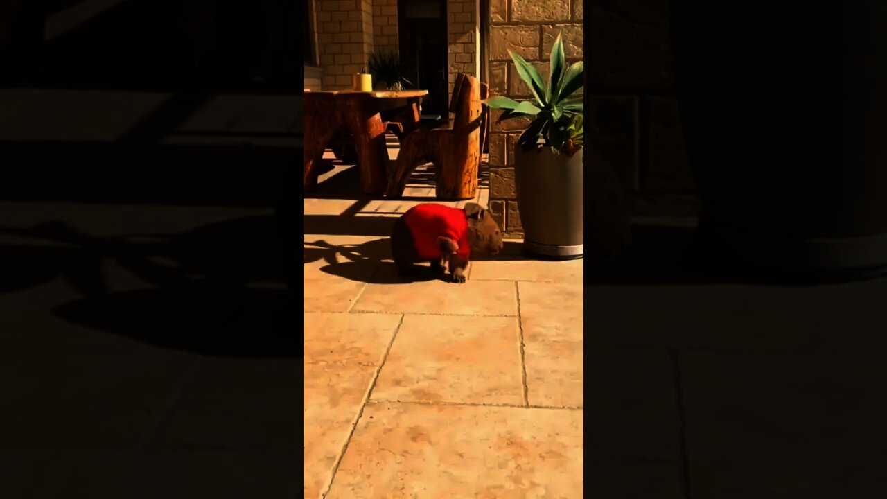 24 de novembro de 2021