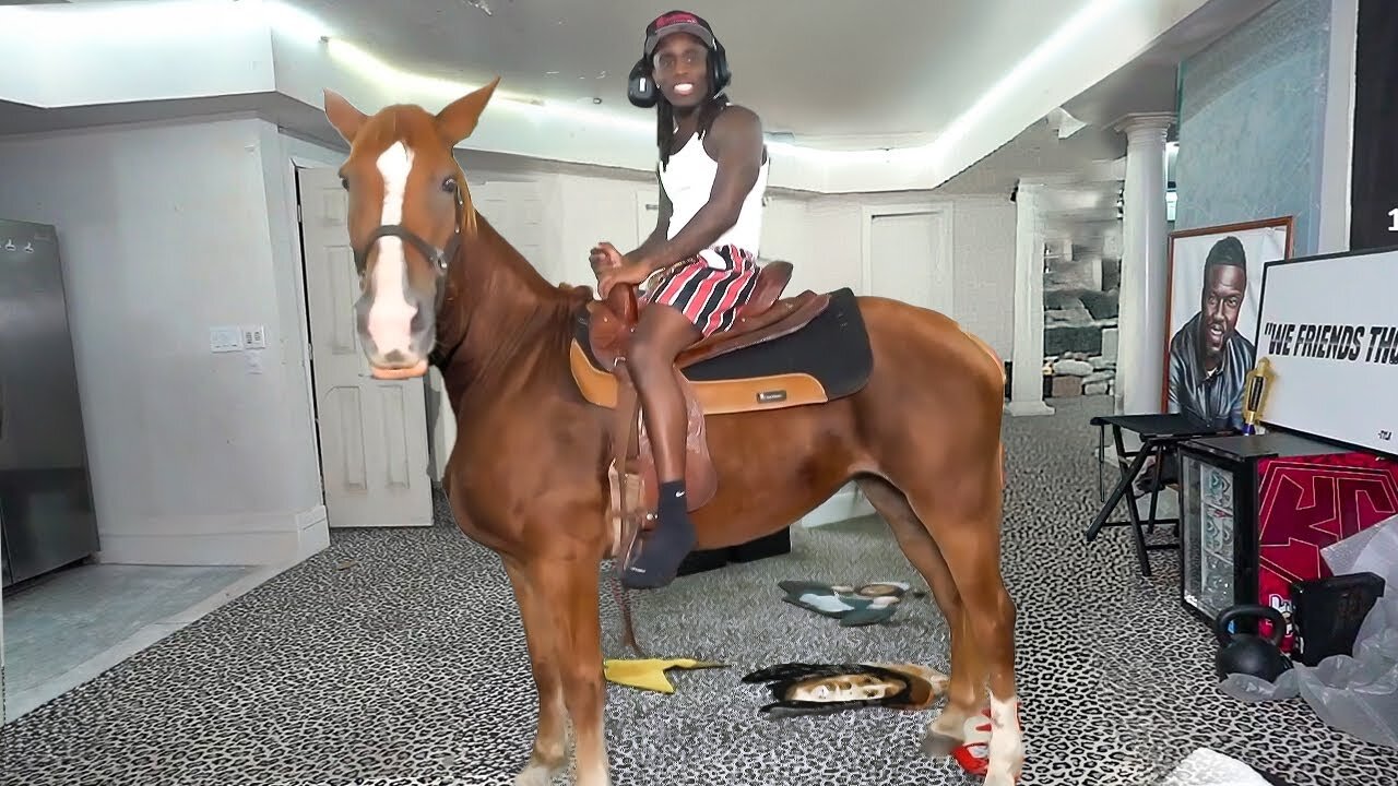 I Brought A Real Horse To My Room!