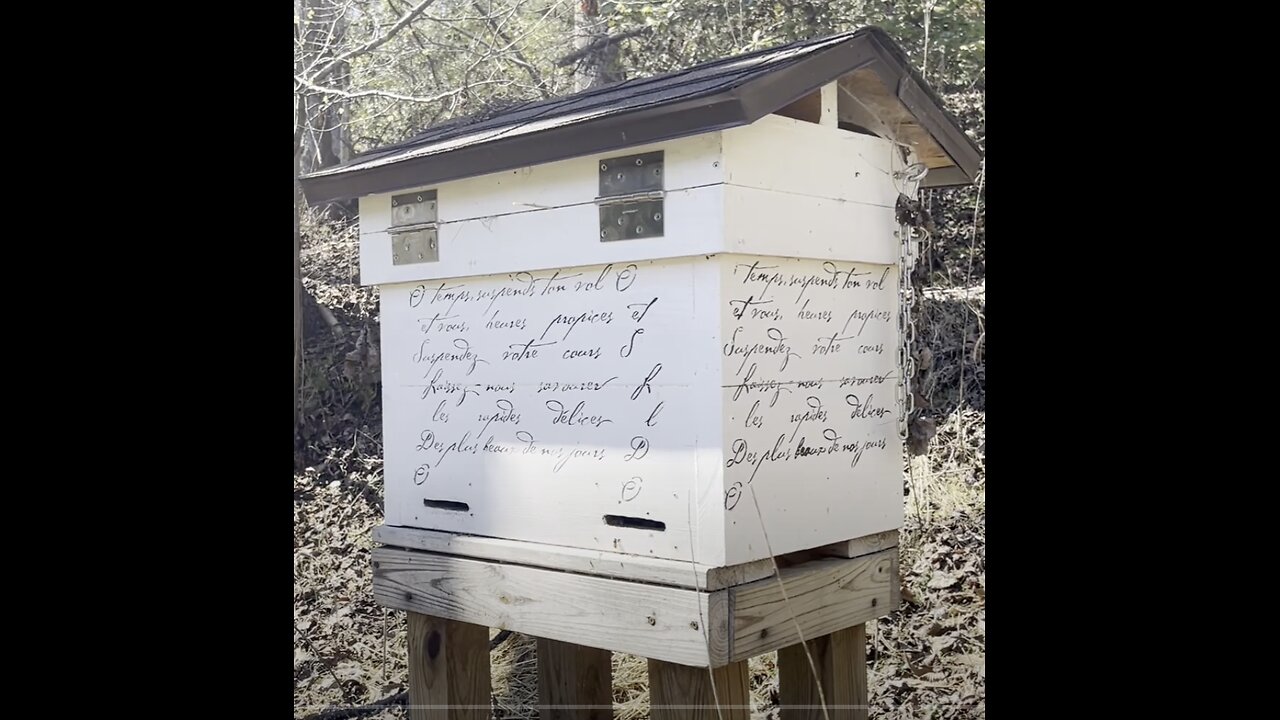 Are Those Steps Traditional Beekeepers Take Really Necessary?