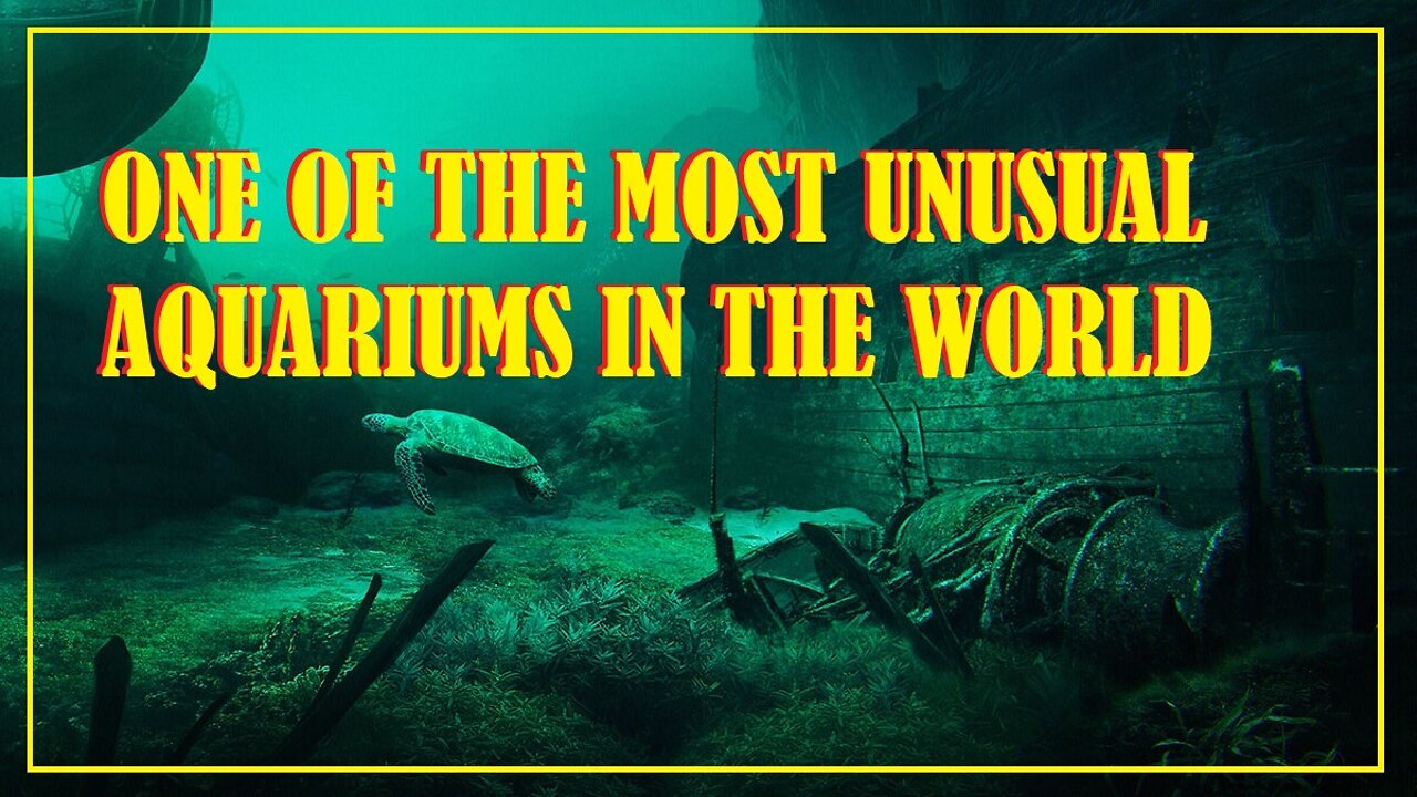 Unusual aquarium