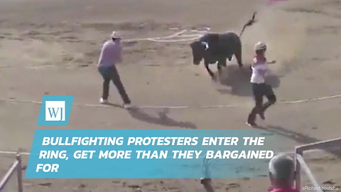 Bullfighting Protesters Enter The Ring, Get More Than They Bargained For