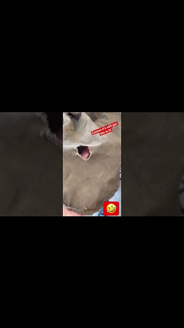 Would you still rock this welding jacket or has it seen the end of its days?