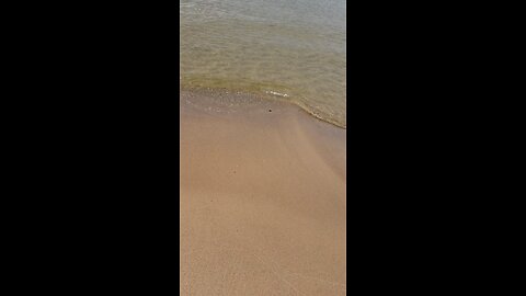 weir marquette beach 2018 walk