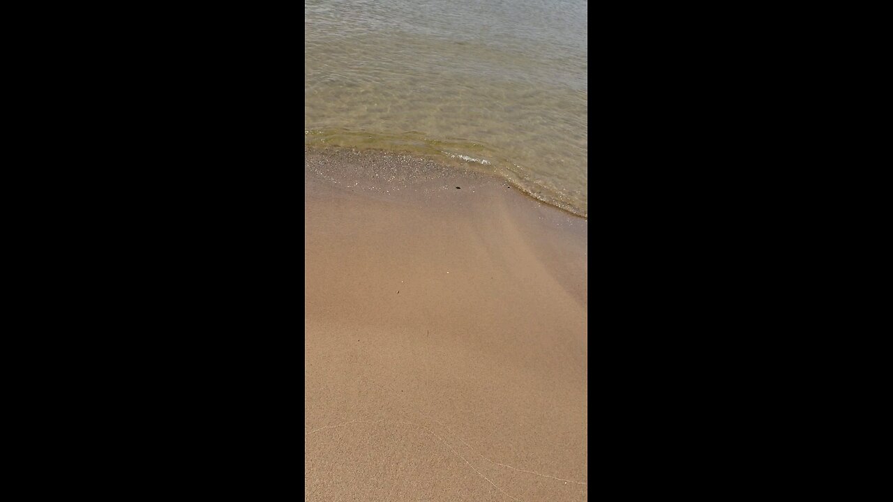 weir marquette beach 2018 walk