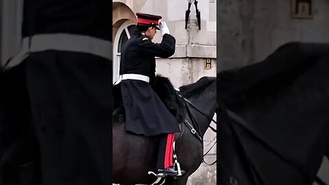 Salute the kings guard #horseguardsparade