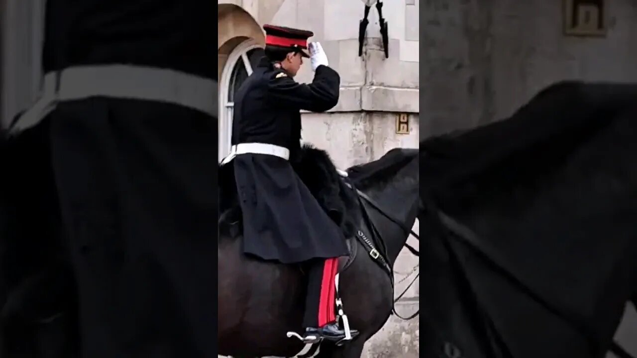 Salute the kings guard #horseguardsparade